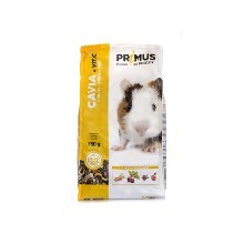 primus cavia8